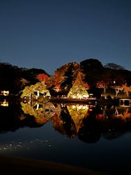 六義園に投稿された画像(2025/12/5)