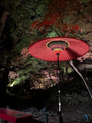 六義園に投稿された画像(2025/12/5)