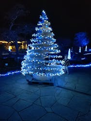 いばらきフラワーパークに投稿された画像(2025/12/5)