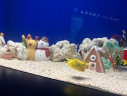 サンシャイン水族館に投稿された画像(2025/12/5)