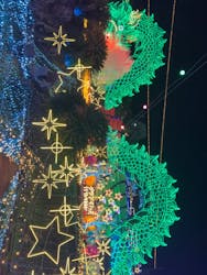 伊豆高原グランイルミに投稿された画像(2025/12/5)