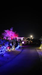 伊豆高原グランイルミに投稿された画像(2025/12/5)