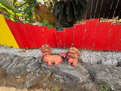 OKINAWAフルーツらんどに投稿された画像(2025/12/5)