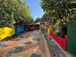 OKINAWAフルーツらんどに投稿された画像(2025/12/5)