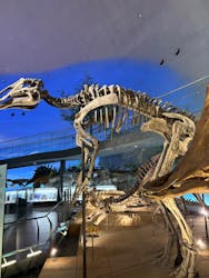 福井県立恐竜博物館に投稿された画像(2025/12/6)