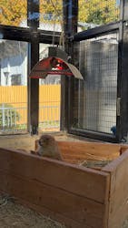 名古屋市東山動植物園に投稿された画像(2025/12/6)