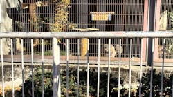 名古屋市東山動植物園に投稿された画像(2025/12/6)