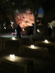 六義園に投稿された画像(2025/12/6)