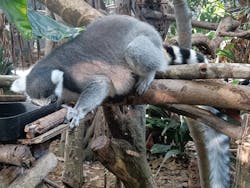 那須どうぶつ王国に投稿された画像(2025/12/6)