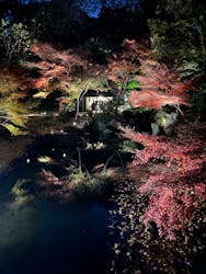 国営昭和記念公園 秋の夜散歩に投稿された画像(2025/12/6)