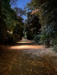 国営昭和記念公園 秋の夜散歩に投稿された画像(2025/12/6)