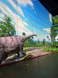 福井県立恐竜博物館に投稿された画像(2025/12/6)