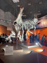 特別展「大絶滅展―生命史のビッグファイブ」に投稿された画像(2025/12/6)