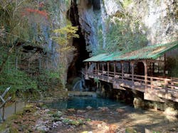 秋芳洞に投稿された画像(2025/12/6)