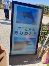 沖縄美ら海水族館に投稿された画像(2025/12/6)