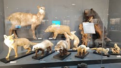 滋賀県立琵琶湖博物館に投稿された画像(2025/12/6)