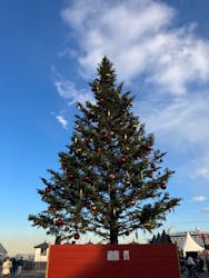Christmas Market in 横浜赤レンガ倉庫 2025に投稿された画像(2025/12/6)