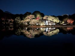 六義園に投稿された画像(2025/12/6)