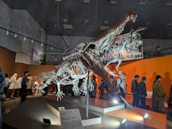 特別展「大絶滅展―生命史のビッグファイブ」に投稿された画像(2025/12/6)