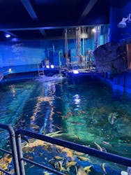 しながわ水族館に投稿された画像(2025/12/6)