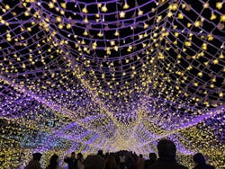 東京メガイルミに投稿された画像(2025/12/6)