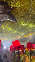 東京メガイルミに投稿された画像(2025/12/6)