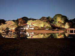 六義園に投稿された画像(2025/12/6)