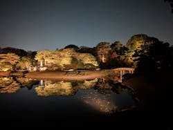 六義園に投稿された画像(2025/12/6)