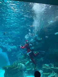 名古屋港水族館に投稿された画像(2025/12/6)