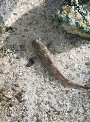 名古屋港水族館に投稿された画像(2025/12/6)