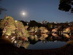 六義園に投稿された画像(2025/12/6)