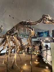 福井県立恐竜博物館に投稿された画像(2025/12/6)