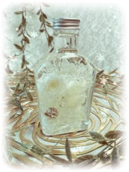 ずこうしつ〜sugamo〜に投稿された画像(2025/12/6)