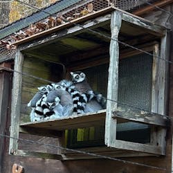 こども動物自然公園(埼玉県公園緑地協会)に投稿された画像(2025/12/6)