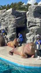 鴨川シーワールドに投稿された画像(2025/12/6)