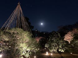 六義園に投稿された画像(2025/12/6)