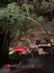 六義園に投稿された画像(2025/12/6)