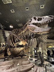 国立科学博物館に投稿された画像(2025/12/6)