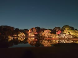 六義園に投稿された画像(2025/12/6)