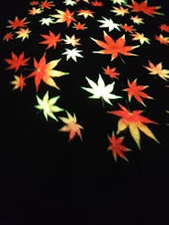 六義園に投稿された画像(2025/12/6)