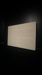 MYSTERY OF TUTANKHAMEN 体感型古代エジプト展に投稿された画像(2025/12/7)