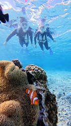 nico 宮古島に投稿された画像(2025/12/7)