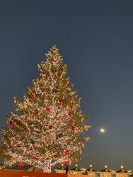 Christmas Market in 横浜赤レンガ倉庫 2025に投稿された画像(2025/12/7)