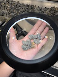 福井県立恐竜博物館に投稿された画像(2025/12/7)