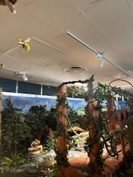 海洋堂ホビーランドに投稿された画像(2025/12/7)