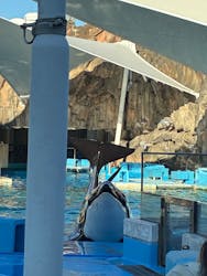 名古屋港水族館に投稿された画像(2025/12/7)