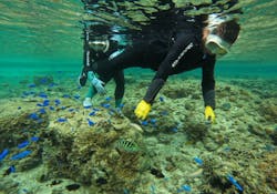 武藤潜水に投稿された画像(2025/12/7)