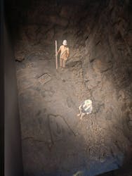 福井県立恐竜博物館に投稿された画像(2025/12/7)