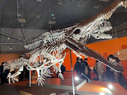 特別展「大絶滅展―生命史のビッグファイブ」に投稿された画像(2025/12/7)