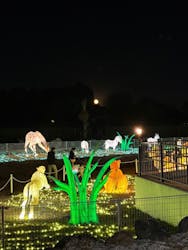 東武動物公園に投稿された画像(2025/12/7)